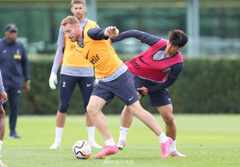 两周后再战 两周后再战